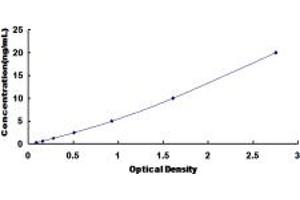 Typical standard curve (TAP1 ELISA 试剂盒)