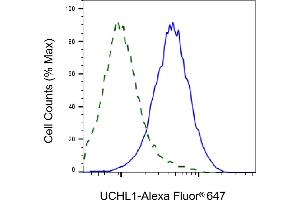 Validation of UCHL1 knockdown using flow cytometry. (Recombinant UCHL1 抗体)