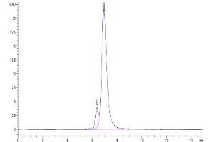 The purity of Biotinylated Human ITGA5&ITGB1 is greater than 90 % as determined by SEC-HPLC.