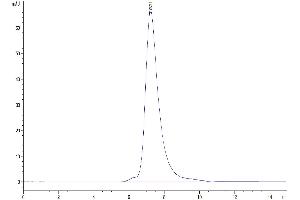 The purity of Human LILRB3 is greater than 95 % as determined by SEC-HPLC.