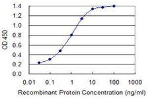 Detection limit for recombinant GST tagged DPYSL2 is 0. (DPYSL2 抗体  (AA 470-571))