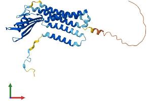 Protein Structure (PS) image for Dual Oxidase Maturation Factor 2 (DUOXA2) (AA 1-320) protein (His tag) (ABIN7560937)