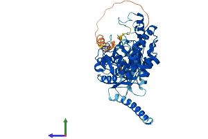 Protein Structure (PS) image for Tryptophan Hydroxylase 2 (TPH2) (AA 1-488) protein (His tag) (ABIN7559329)