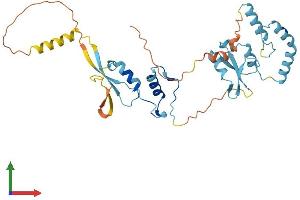 AlphaFold protein structure predicition of Human Recombinant HSP90AA5P Protein, UniprotID Q58FG0 (HSP90AA5P Protein (AA 1-334) (His tag))