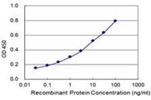 Detection limit for recombinant GST tagged SHCBP1 is 0. (SHCBP1 抗体  (AA 1-672))
