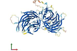 AlphaFold protein structure predicition of Human Recombinant ELP2 Protein, UniprotID Q6IA86