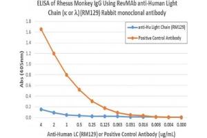The recombinant Human Ig Light Chains antibody does not cross-react with monkey IgG. (Recombinant Ig Light Chains 抗体)