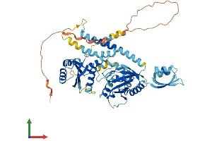 AlphaFold protein structure predicition of Human Recombinant GTPBP6 Protein, UniprotID O43824