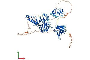 AlphaFold protein structure predicition of Mouse Recombinant Tfcp2 Protein, UniprotID Q9ERA0 (TFCP2 Protein (AA 1-502) (His tag))