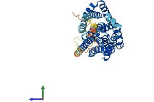 Protein Structure (PS) image for Solute Carrier Family 10 (Sodium/bile Acid Cotransporter Family), Member 2 (SLC10A2) (AA 1-348) protein (His tag) (ABIN7549907)