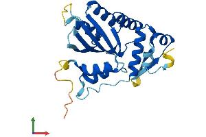 AlphaFold protein structure predicition of Human Recombinant APOBEC1 Protein, UniprotID P41238