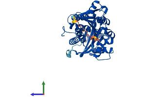 Protein Structure (PS) image for Adenosine Kinase (ADK) (AA 1-361) protein (His tag) (ABIN7556463)