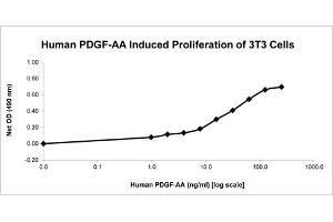 SDS-PAGE of Human Platelet Derived Growth Factor-AA Recombinant Protein Bioactivity of Human Platelet Derived Growth Factor-AA Recombinant Protein. (PDGF-AA Homodimer 蛋白)