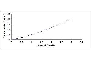 Typical standard curve (ARNTL ELISA 试剂盒)
