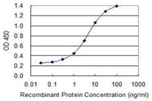 Detection limit for recombinant GST tagged IL1F8 is 0. (FIL1h 抗体  (AA 1-157))