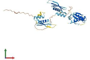 AlphaFold protein structure predicition of Human Recombinant PRKRA Protein, UniprotID O75569