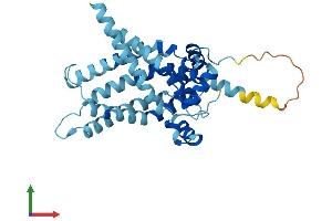 Protein Structure (PS) image for Solute Carrier Family 25, Member 47 (SLC25A47) (AA 1-310) protein (His tag) (ABIN7557935)