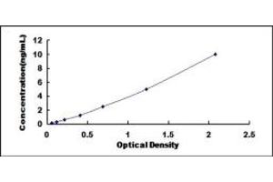 Typical standard curve (FBLN7 ELISA 试剂盒)