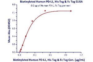 Binding Studies (Bind) image for CD274 (PD-L1) (AA 19-238) (Active) protein (His tag,Fc Tag,AVI tag,Biotin) (ABIN2181597)