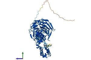 Protein Structure (PS) image for Kelch-Like 2, Mayven (KLHL2) (AA 1-593) protein (His tag) (ABIN7559400)
