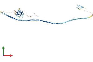 Protein Structure (PS) image for RUN and FYVE Domain Containing 1 (RUFY1) (AA 1-708) protein (His tag) (ABIN7551634)