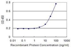 ELISA image for anti-Aldo-Keto Reductase Family 1, Member B1 (Aldose Reductase) (AKR1B1) (AA 1-316) antibody (ABIN513262)