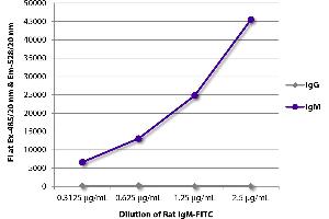 Rat IgM isotype control (FITC)