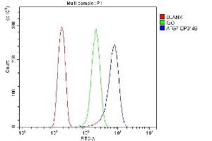 Flow Cytometry analysis of HELA cells using anti-ATG7 antibody (ABIN7603109). (ATG7 抗体  (N-Term))