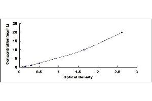 Typical standard curve (PRKG2 ELISA 试剂盒)