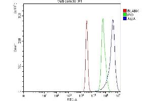 Flow Cytometry analysis of K562 cells using anti-AIDA antibody (ABIN7601996). (AIDA 抗体  (AA 54-284))