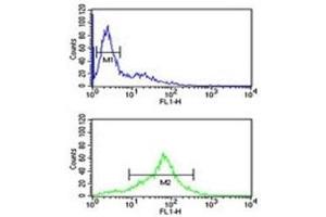 Flow Cytometry (FACS) image for anti-Superoxide Dismutase 1, Soluble (SOD1) (AA 55-84) antibody (ABIN3032771)