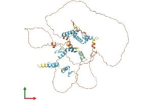 Protein Structure (PS) image for Zinc Finger Protein 496 (ZNF496) (AA 1-587) protein (His tag) (ABIN7545807)