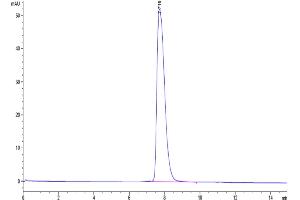 The purity of Human GPA33/A33 is greater than 95 % as determined by SEC-HPLC.