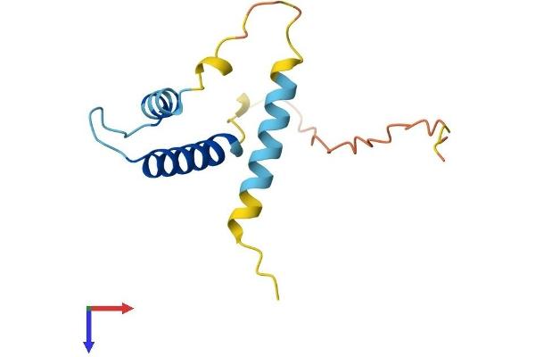 ID3 Protein (AA 1-119) (His tag)