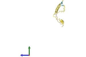 Protein Structure (PS) image for Transition Protein 2 (During Histone To Protamine Replacement) (TNP2) (AA 1-138) protein (His tag) (ABIN7546481)