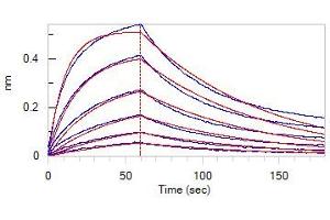 Bio-Layer Interferometry (BLI) image for SARS-CoV-2 Spike S1 (D614G) protein (His tag) (ABIN6953175)