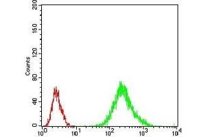 Flow cytometric analysis of Jurkat cells using RANBP9 mouse mAb (green) and negative control (red). (Importin 9 抗体  (AA 453-680))