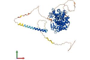 Protein Structure (PS) image for Mannosidase, Alpha, Class 1B, Member 1 (MAN1B1) (AA 1-699) protein (His tag) (ABIN7554486)