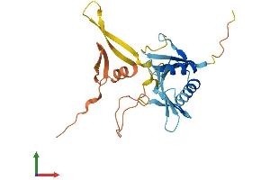 Protein Structure (PS) image for Ornithine Decarboxylase Antizyme 3 (OAZ3) (AA 1-235) protein (His tag) (ABIN7549988)