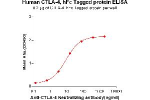 ELISA plate pre-coated by 2 μg/mL (100 μL/well) Human CTLA-4, hFc tagged protein (ABIN6961164, ABIN7042357 and ABIN7042358) can bind Anti-C Neutralizing antibody ABIN6964435 and ABIN7272571 in a linear range of 0.