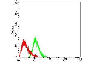 Flow cytometric analysis of HL-60 cells using CD275 mouse mAb (green) and negative control (red). (ICOSLG 抗体  (AA 19-256))