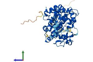 Protein Structure (PS) image for Carbohydrate (N-Acetylglucosamine 6-O) Sulfotransferase 6 (CHST6) (AA 1-395) protein (His tag) (ABIN7553288)