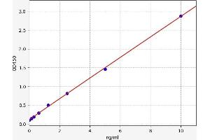 Typical standard curve (IgE ELISA 试剂盒)