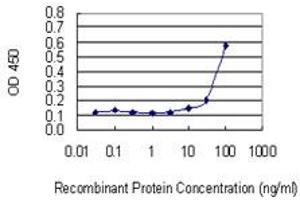 Detection limit for recombinant GST tagged VPS16 is 3 ng/ml as a capture antibody. (VPS16 抗体  (AA 754-839))