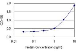 Sandwich ELISA detection sensitivity ranging from 0. (STK16 (人) Matched Antibody Pair)