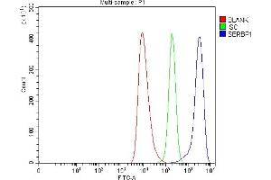 Flow Cytometry analysis of HEL cells using anti-SERBP1 antibody (ABIN7602927). (SERBP1 抗体  (C-Term))