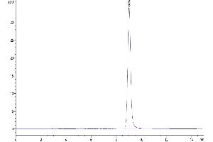 Size-exclusion chromatography-High Pressure Liquid Chromatography (SEC-HPLC) image for Gastric Inhibitory Polypeptide (GIP) (AA 22-93) protein (Fc Tag) (ABIN7274747)