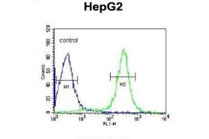 Flow Cytometry (FACS) image for anti-Inter-alpha Globulin Inhibitor H2 Polypeptide (ITIH2) antibody (ABIN3002765) (ITIH2 抗体)