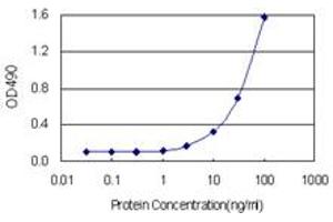 Sandwich ELISA detection sensitivity ranging from 1 ng/mL to 100 ng/mL. (NQO1 (人) Matched Antibody Pair)