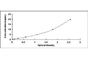 Typical standard curve (IRF1 ELISA 试剂盒)